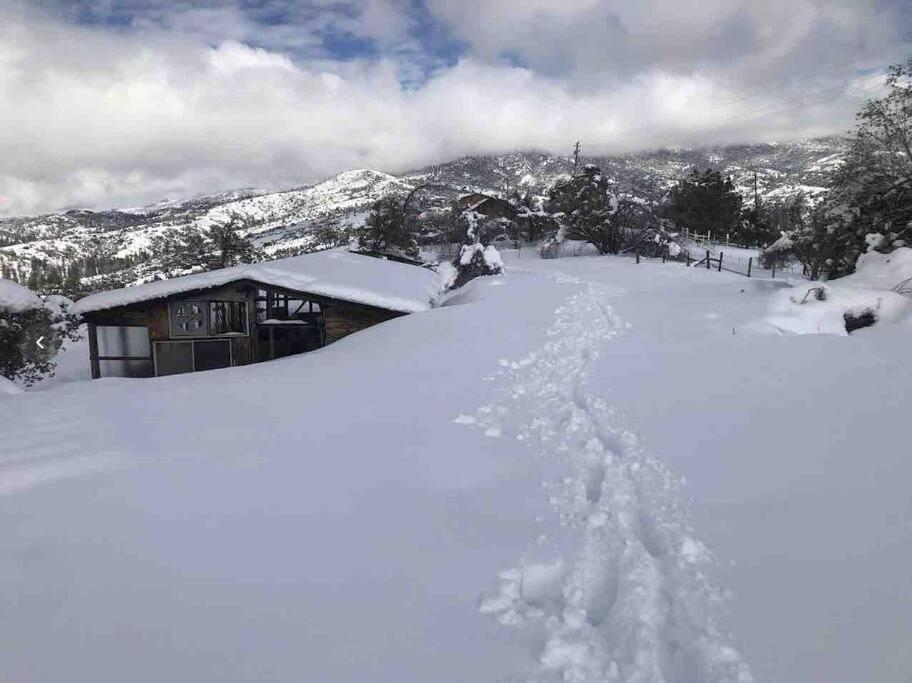Walnut Cottage Badger Екстер'єр фото